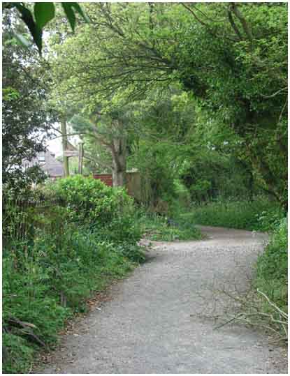 Bridle Path