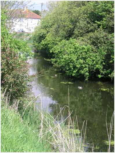 Marshland Drainage Sewer