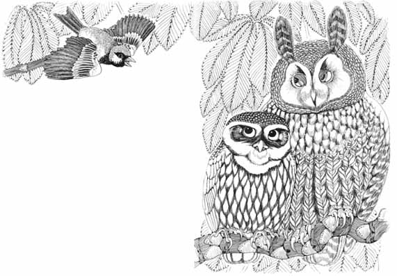 Two Owls and the Sparrow