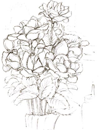Nylon Flowers