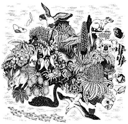 Nature of Australia