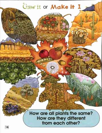 Plant categories