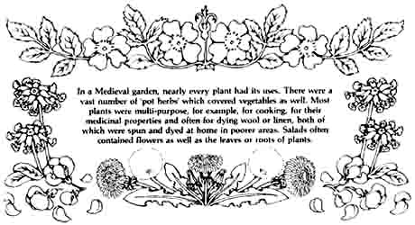 wild rose, dandelion