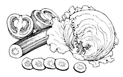 Cucumber, lettuce and tomato