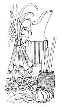 spring onions, jug and garlic