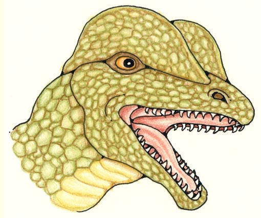 Dilophosaurus