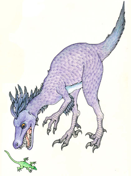 Velociraptor