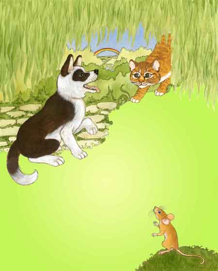 dog, cat, mouse